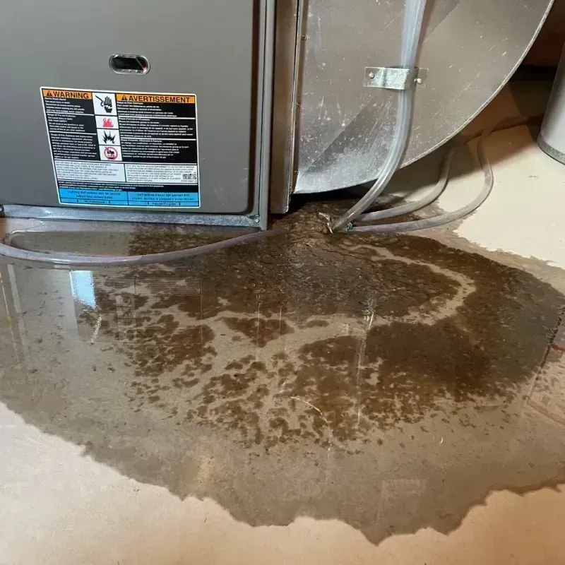 Appliance Leak Cleanup in Sheridan, IL